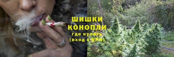 ALPHA-PVP Богородицк