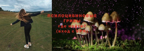 крисы Беломорск